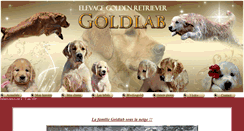 Desktop Screenshot of elevage-goldlab.fr