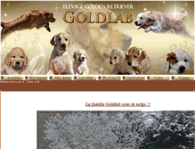 Tablet Screenshot of elevage-goldlab.fr